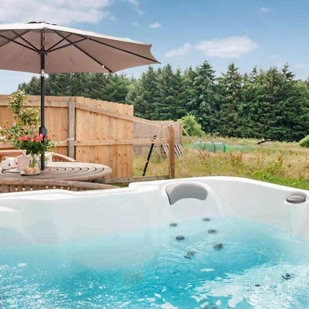 Cosy Cottage In The Blackdown Hills Devon Honiton Exterior photo