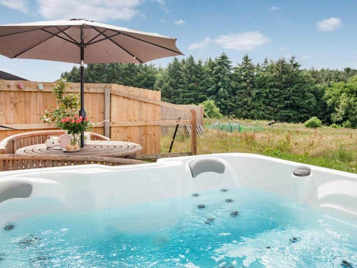 Cosy Cottage In The Blackdown Hills Devon Honiton Exterior photo