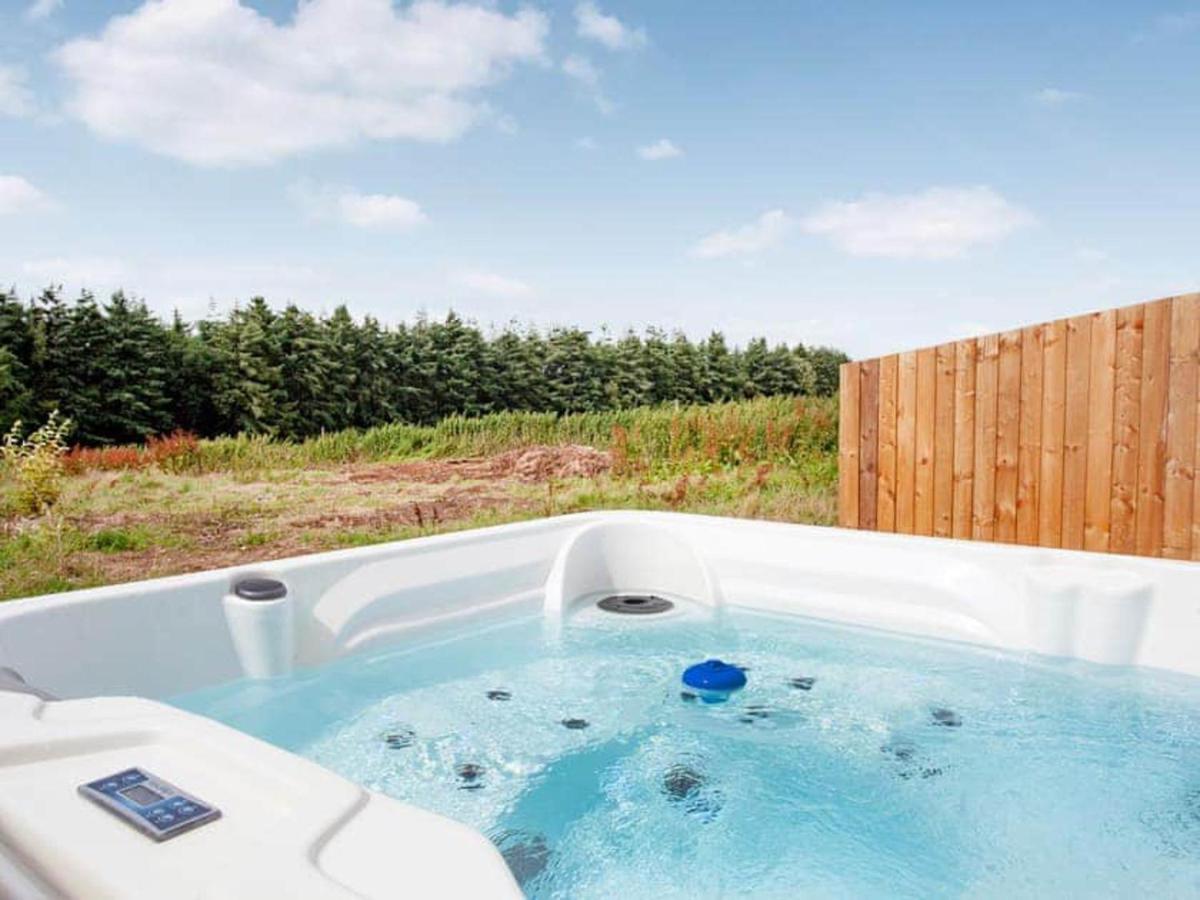 Cosy Cottage In The Blackdown Hills Devon Honiton Exterior photo